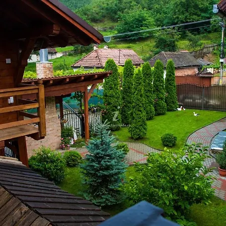Pensiunea George Guest house *
